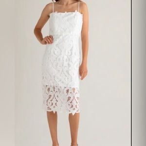 Bardot Lina Lace Midi Sheath Formal Ivory Dress  Size 10 NEW